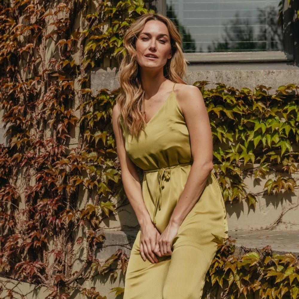 Lofty Manner Silk Dress